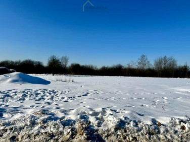 Działka budowlana Łomianki