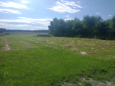 Działka budowlana Steblów