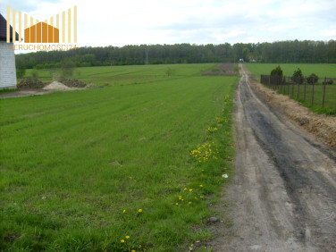 Działka rolna Dębe Wielkie
