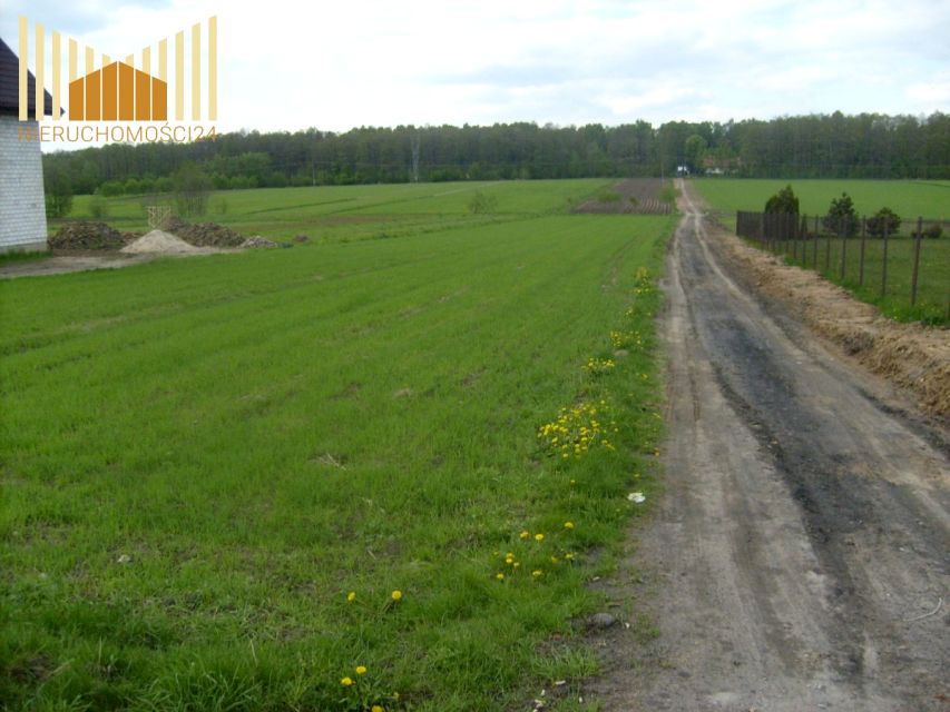 Działka rolna Dębe Wielkie