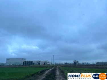 Działka inwestycyjna Emilianów