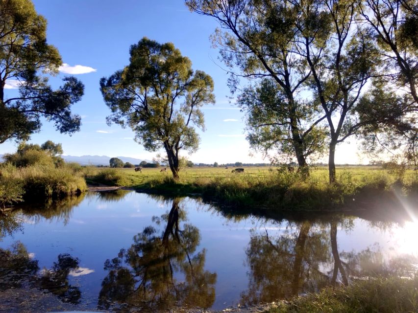 Działka rolna Dział