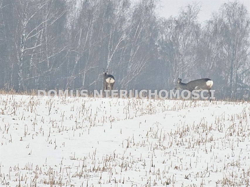 Działka budowlana Rozworzyn