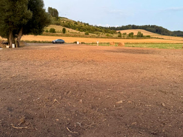 Działka budowlana Kudowa-Zdrój