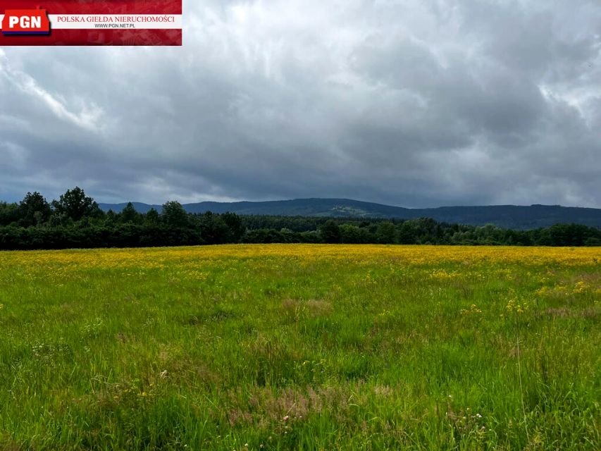 Działka budowlana Starków