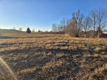 Działka budowlana Zerbuń