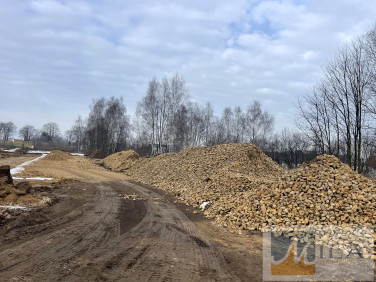 Działka nad jeziorem