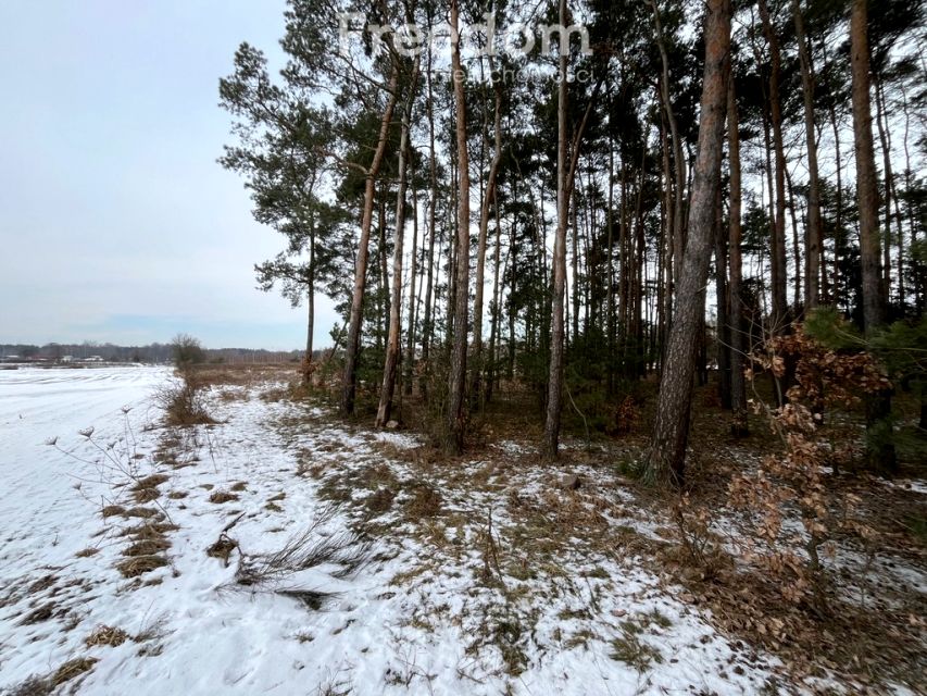 Działka przemysłowa Lubicz Dolny