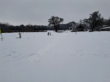 Działka budowlana Budy-Grzybek