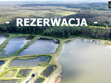 Dom wolnostojący sprzedaż