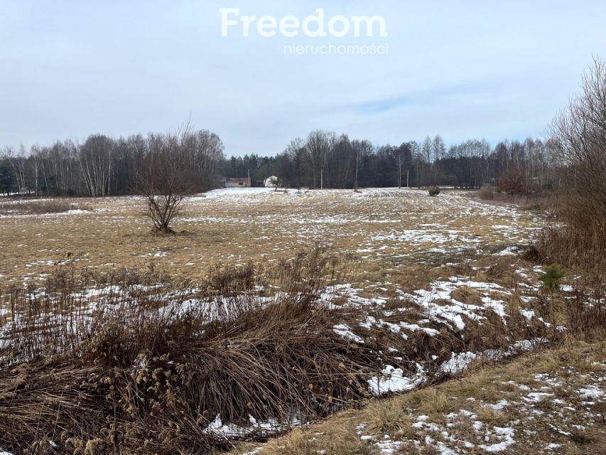 Działka przemysłowa Lubicz Dolny