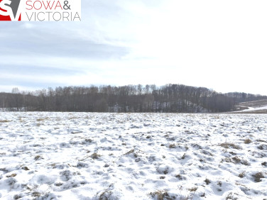 Działka budowlana Wałbrzych