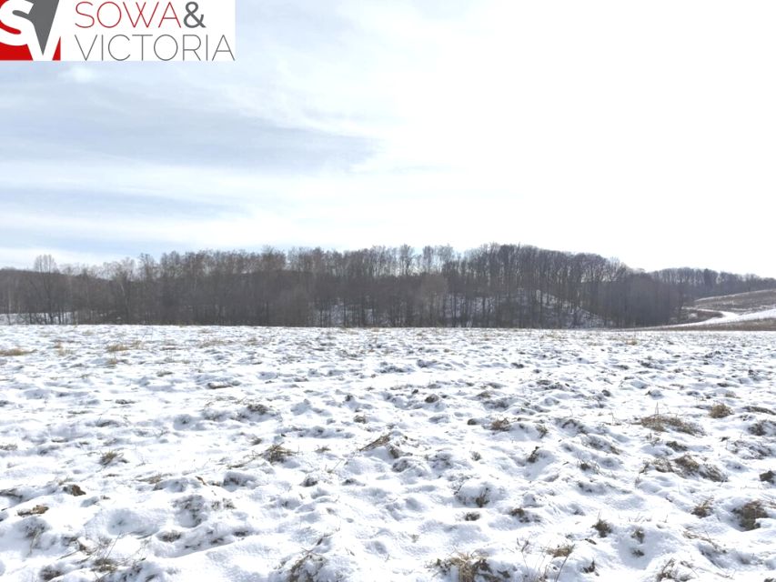 Działka budowlana Wałbrzych