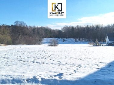 Działka Budy Wielgoleskie