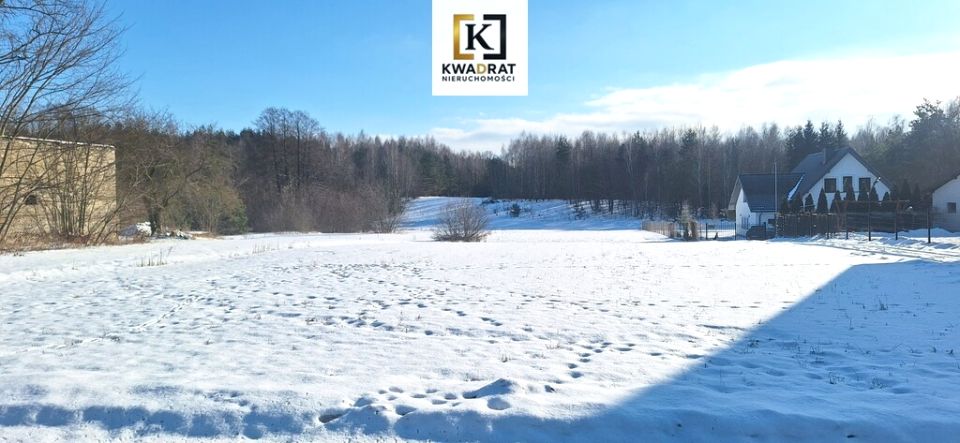 Działka Budy Wielgoleskie