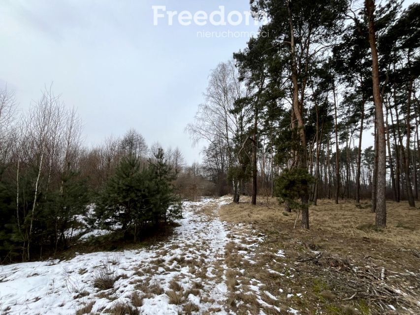 Działka budowlana Kopanino