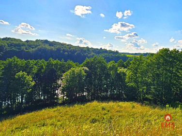 Działka Kiersztanowo