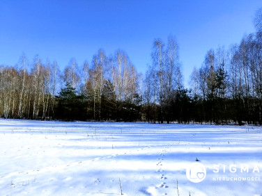 Działka budowlana Badowo-Dańki