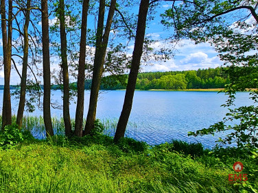 Działka budowlana Dąbrówno