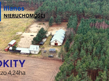 Budynek użytkowy Rokity