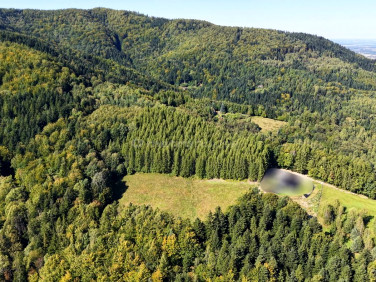 Działka budowlano-rolna Targanice