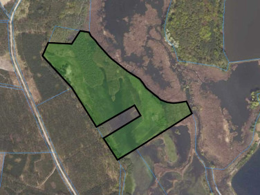 Działka rolna Trzciel