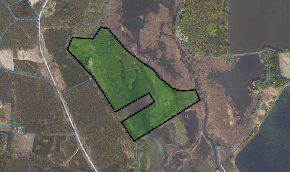 Działka rolna Trzciel