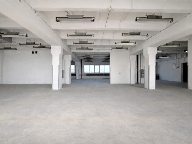 Lokal Rzeszów wynajem