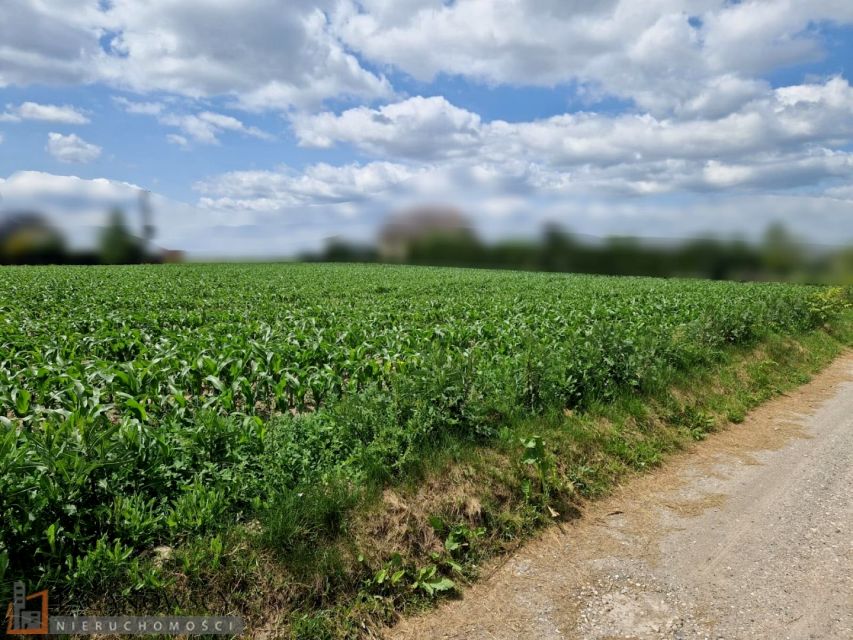 Działka budowlana Dojazdów