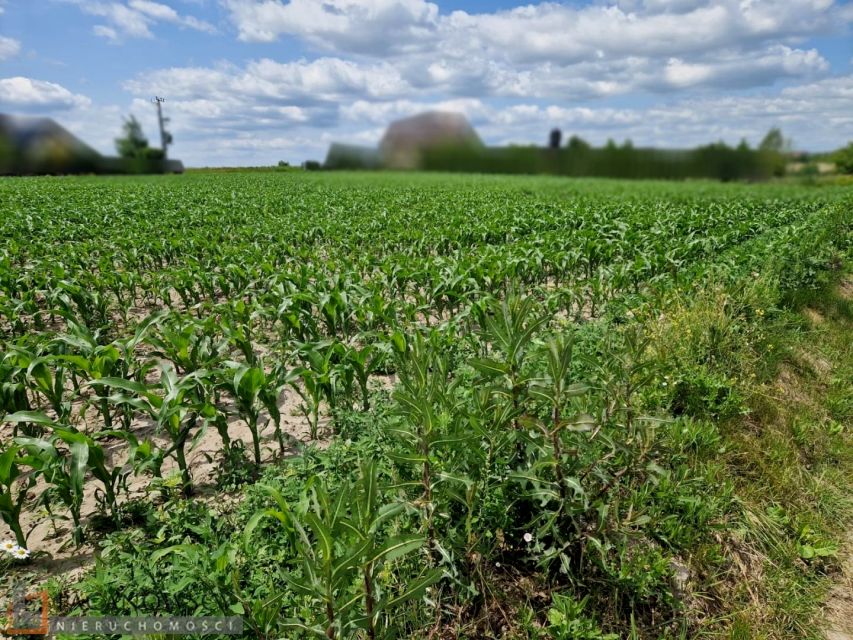 Działka budowlana Dojazdów