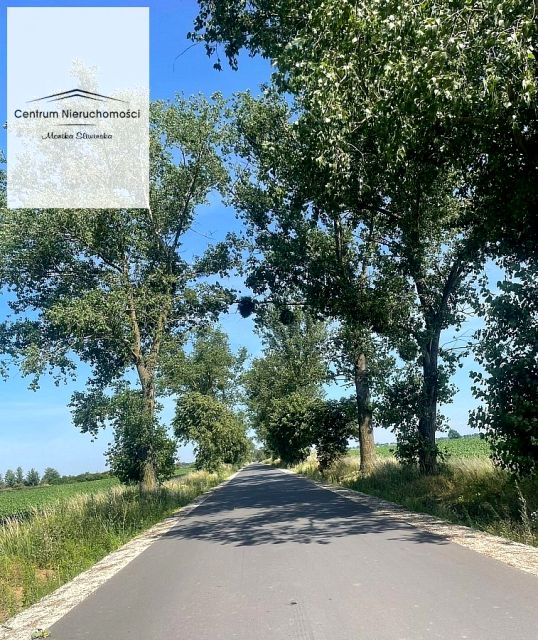 Zdjęcie 3