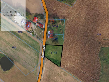 Działka rolna Lisewo