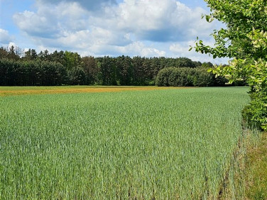 Działka budowlana Dobrodzień