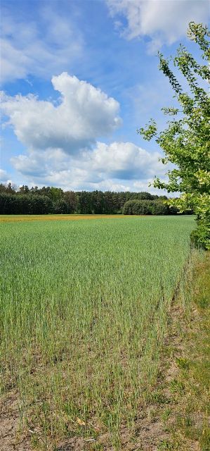 Działka budowlana Dobrodzień