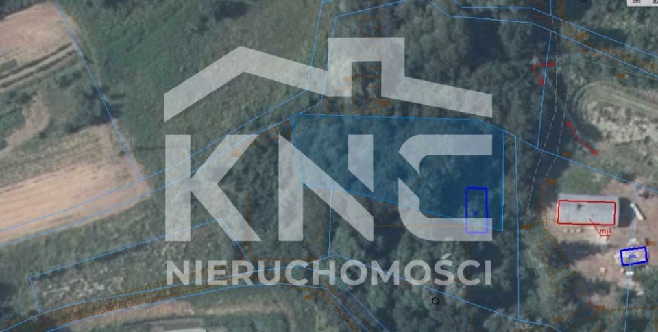 Działka leśna NIENADOWA