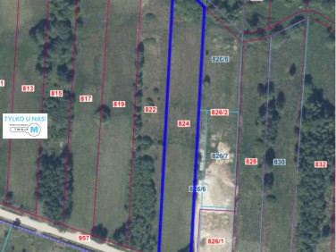 Działka budowlana Masłów Drugi sprzedam