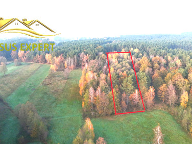 Działka leśna Niwiska