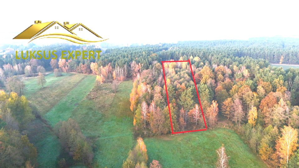 Działka leśna Niwiska