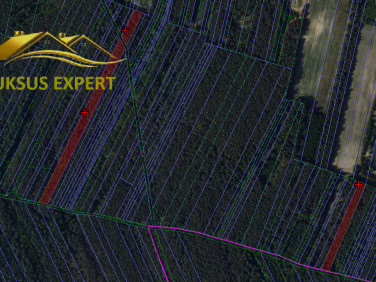 Działka leśna Kowalówka