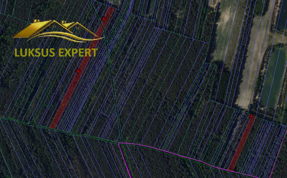 Działka leśna Kowalówka