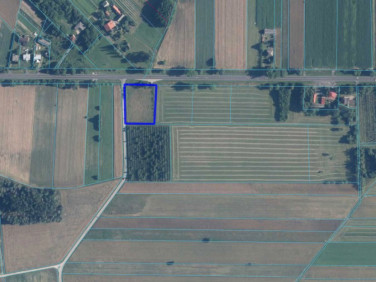 Działka siedliskowa Korzeniów