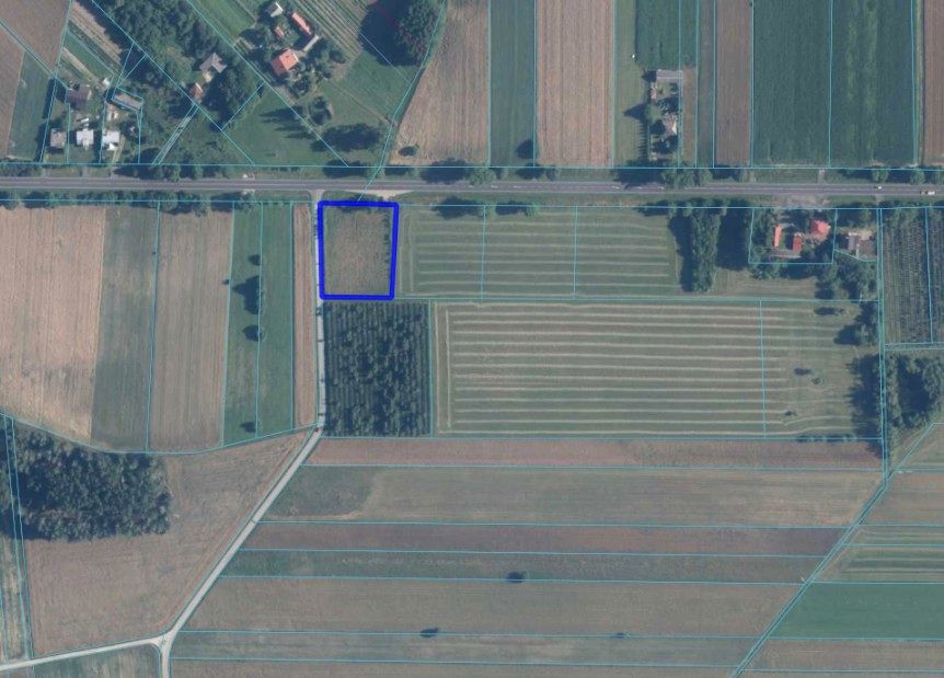 Działka siedliskowa Korzeniów