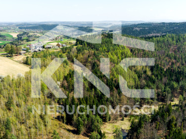 Działka Jastrzębia