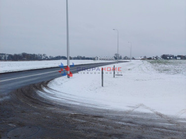 Działka usługowa Łady