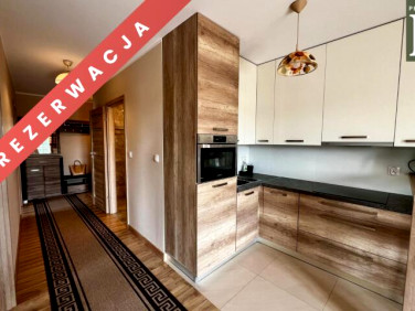 Mieszkanie Kraków wynajem