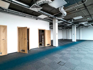 Lokal Kraków wynajem