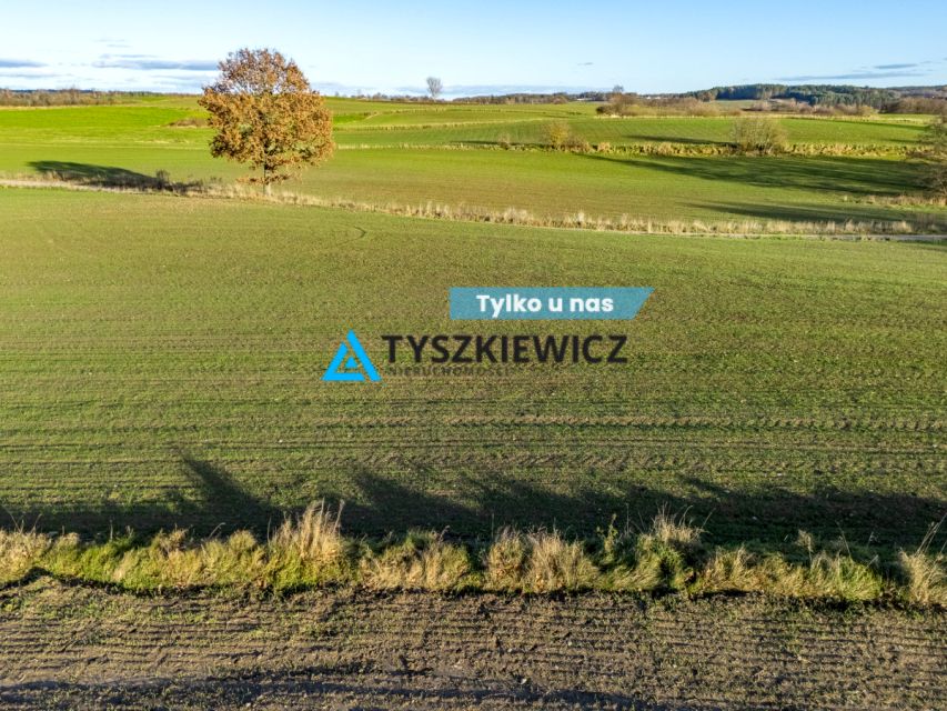 Działka rolna Grabowo Kościerskie