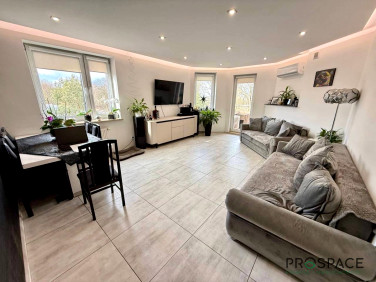 Mieszkanie Zielona Góra