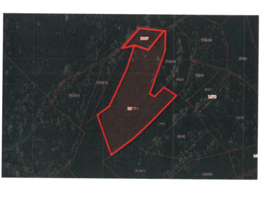 Działka leśna Słopnice