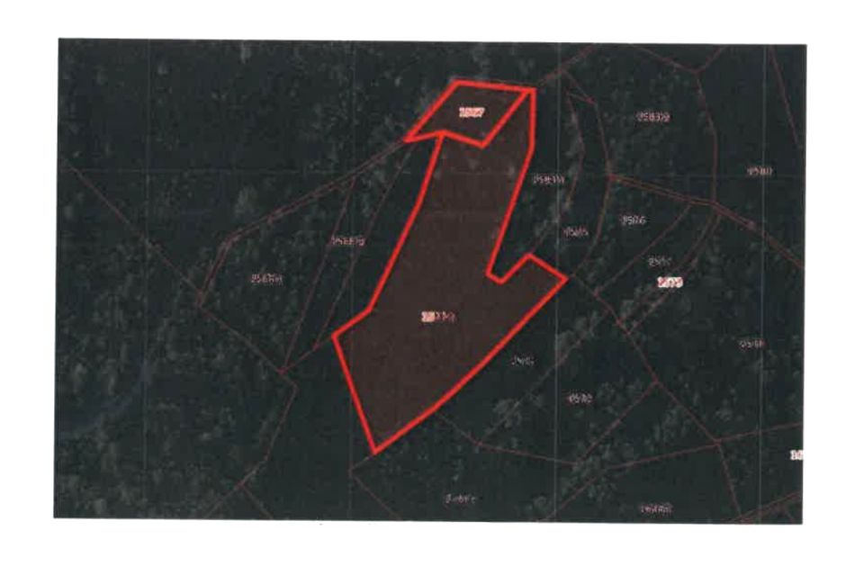 Działka leśna Słopnice